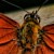 Group logo of The HIVe